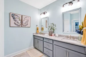 Modern blue bathroom with double vanity, granite countertop, and butterfly wall art.
